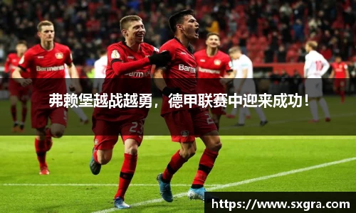 yy易游