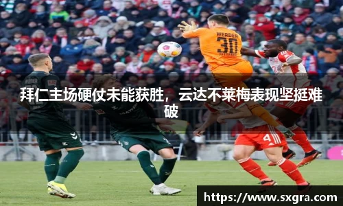 yy易游体育