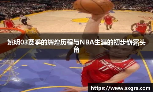 yy易游