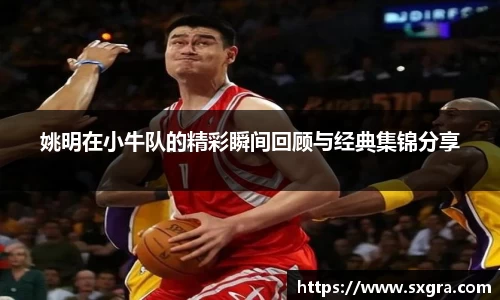 yy易游