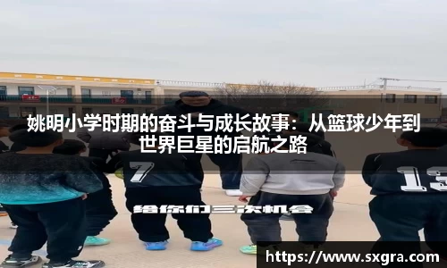 yy易游体育