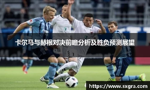 卡尔马与赫根对决前瞻分析及胜负预测展望