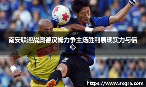 yy体育