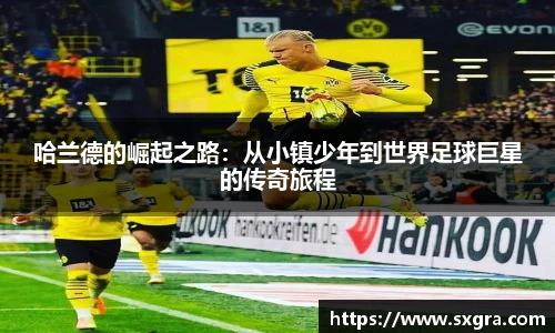 yy易游