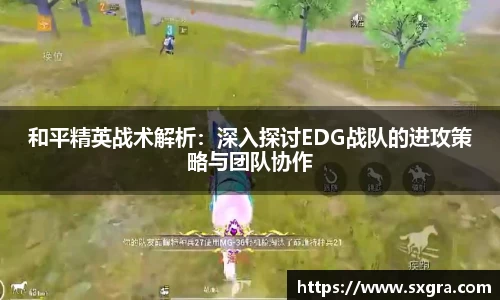 yy易游体育